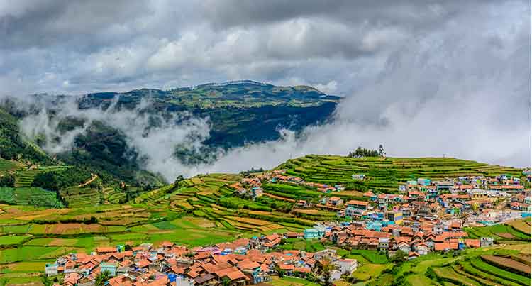 ooty