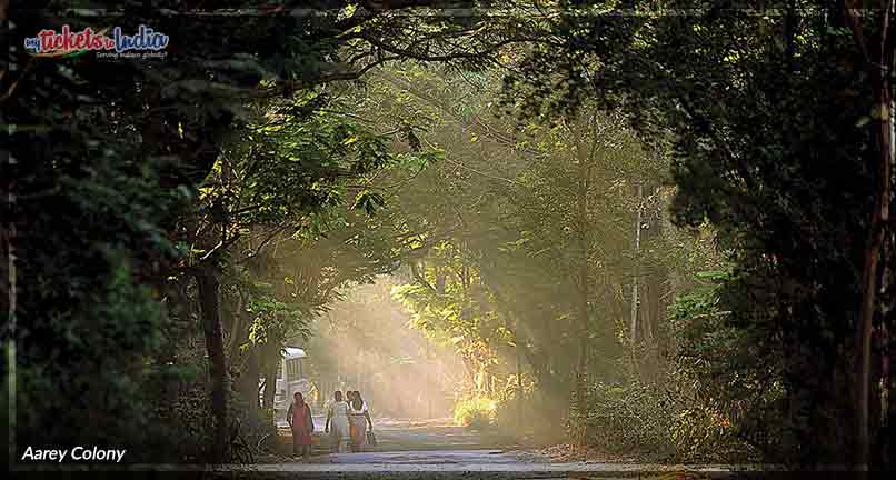 Aarey Colony