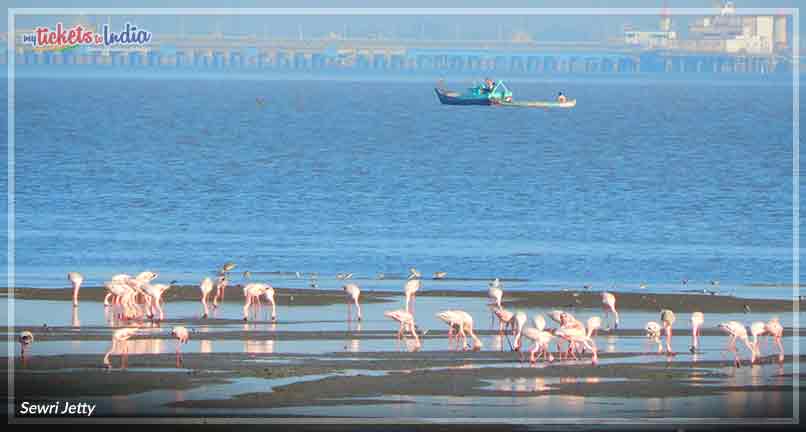 Sewri Jetty