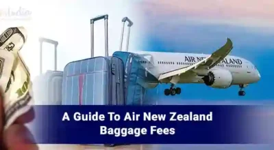 Air-New-Zealand-Baggage-Fees