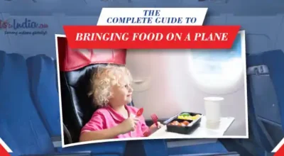 Guide to Bringing Food on a Plane